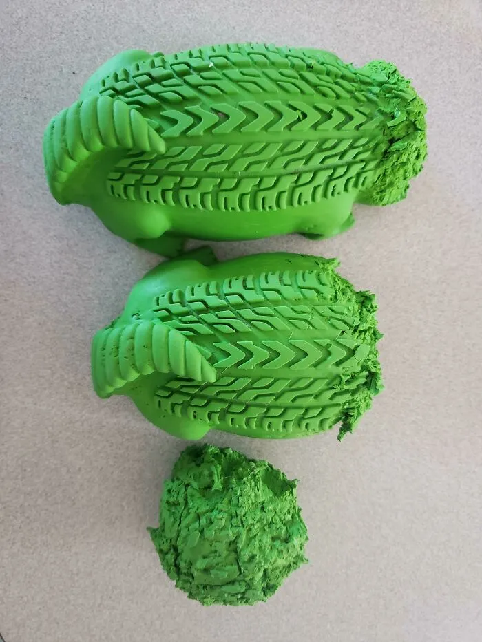 If You Tell The Dog To "Go Get Your Gator" She'll Bring Back Any One Of These