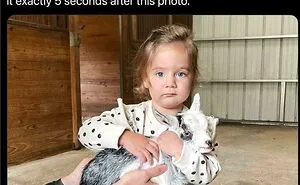 68 Hilarious Photos That Are The Reason Some People Actually Don’t Want Kids