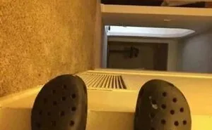Someone Actually Posted These 45 Ridiculous Lies Online, And We Can't Stop Laughing (New Pics)