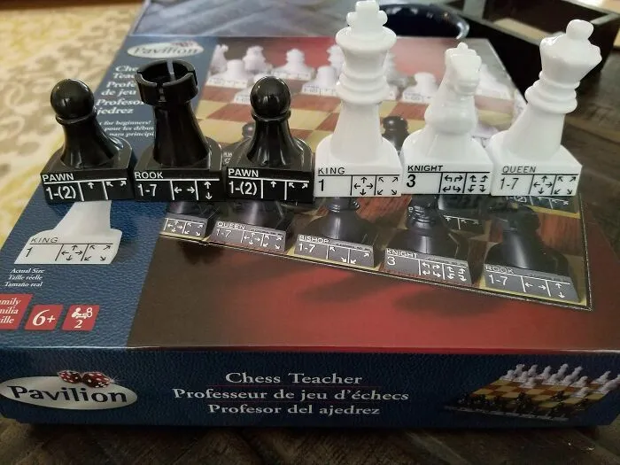 This Beginner Chess Set Lists The Possible Moves On Each Piece