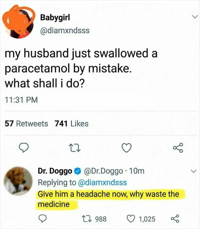 48 “Gems Of Replies” Spotted Around The Internet That Might Make You Laugh More Than You Should (New Posts)