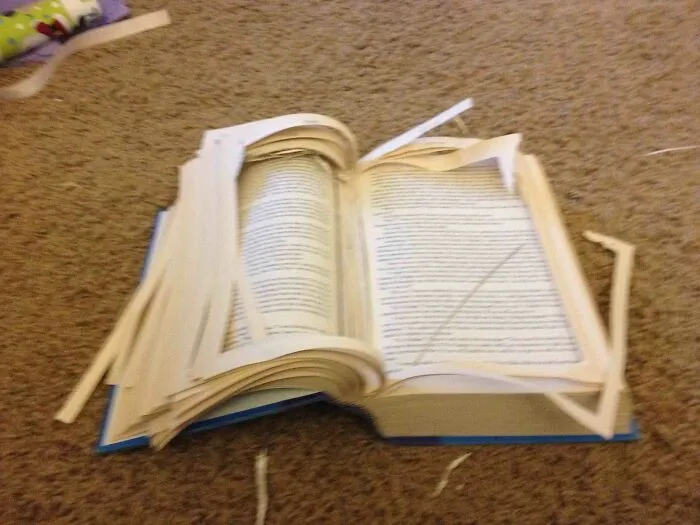 Tried To Make A Hiding Place In A Book !