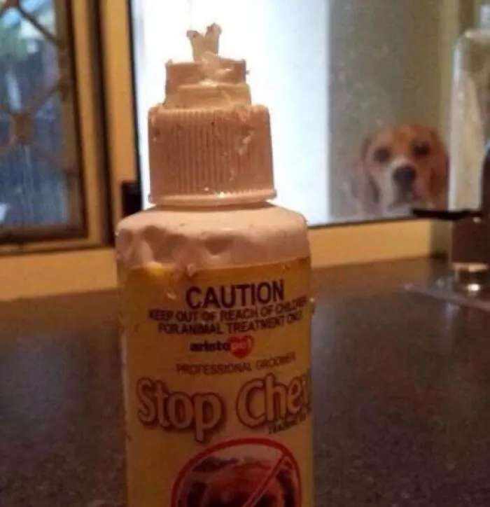 "You Had One Job": 51 People Who Had One Simple Task And Managed To Mess It Up Completely