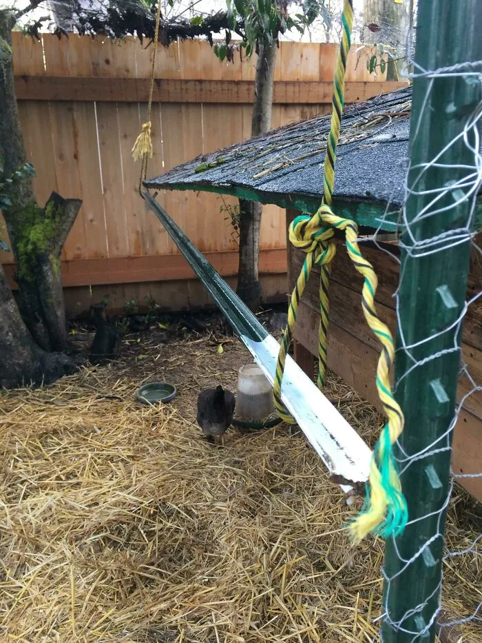 Installed A Shitty Gutter For My Shitty Chicken Coop