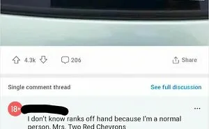 87 Times The Comment Was So Good Nobody Remembered What It Was Responding To