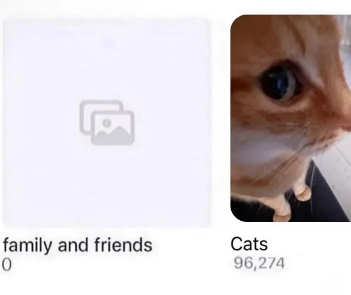 70 Funny Posts From The “Of Course Cats” Page