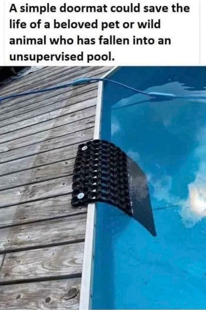 Not My Idea But A Good One!