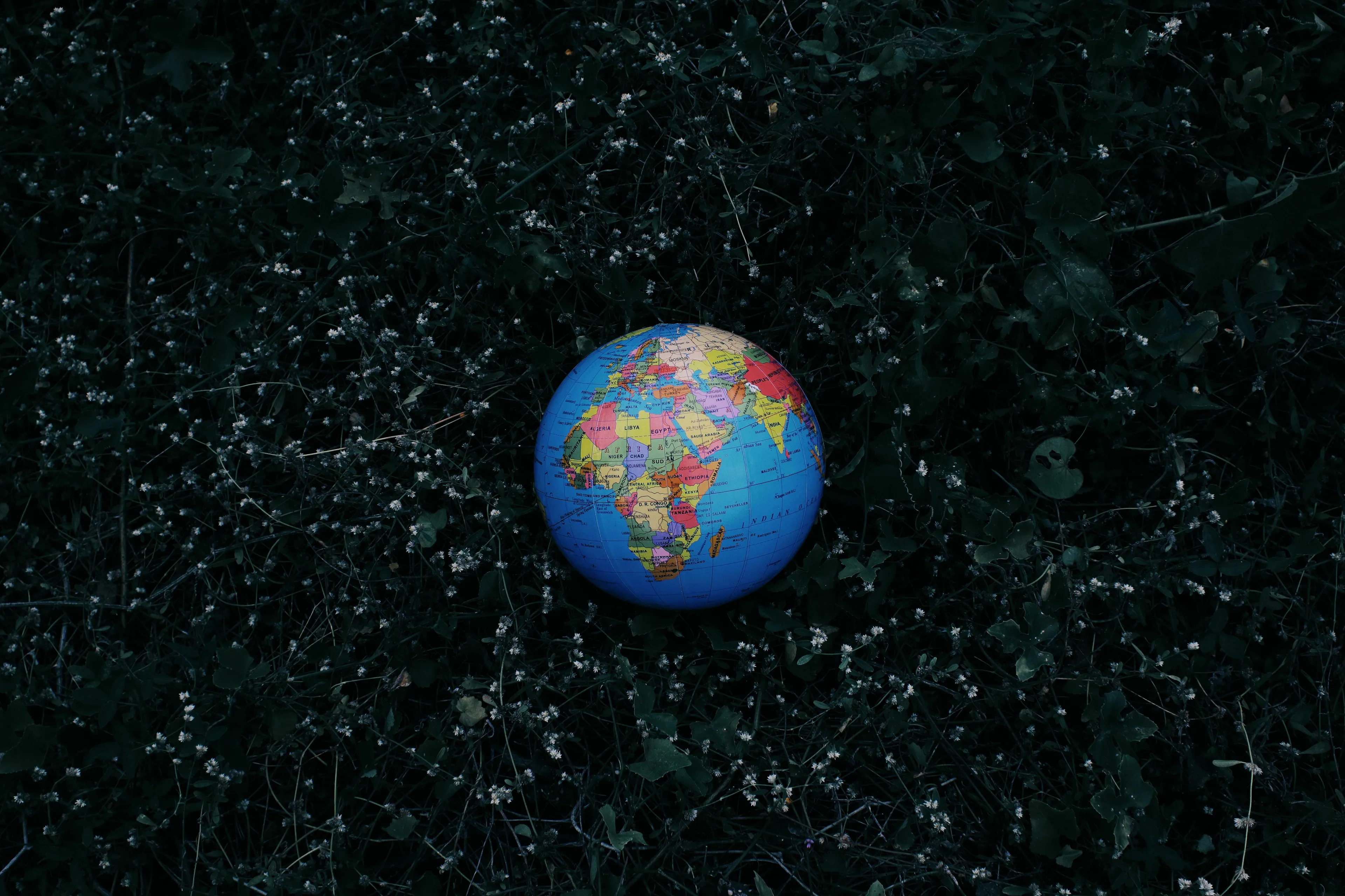 A small globe resting on dark green foliage, for a general geography knowledge quiz about the largest country.