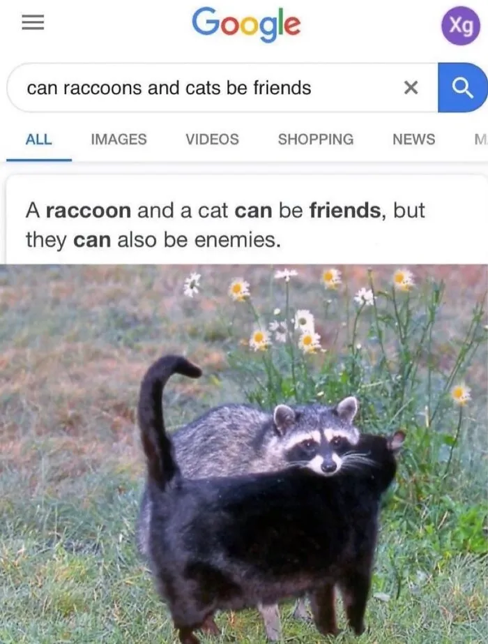 “Of Course Cats”: 70 Hilarious Memes For Every Mood