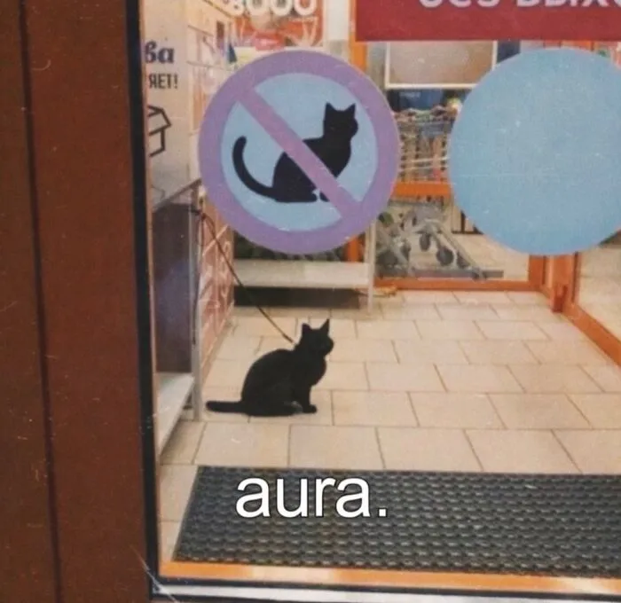 “Of Course Cats”: 70 Hilarious Memes For Every Mood