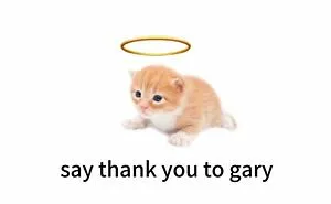 70 Funny Posts From The “Of Course Cats” Page