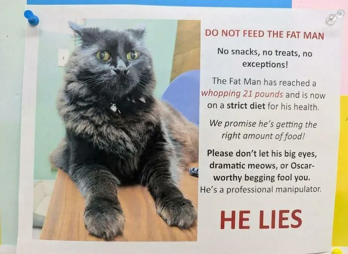 Do Not Feed The Fat Man
