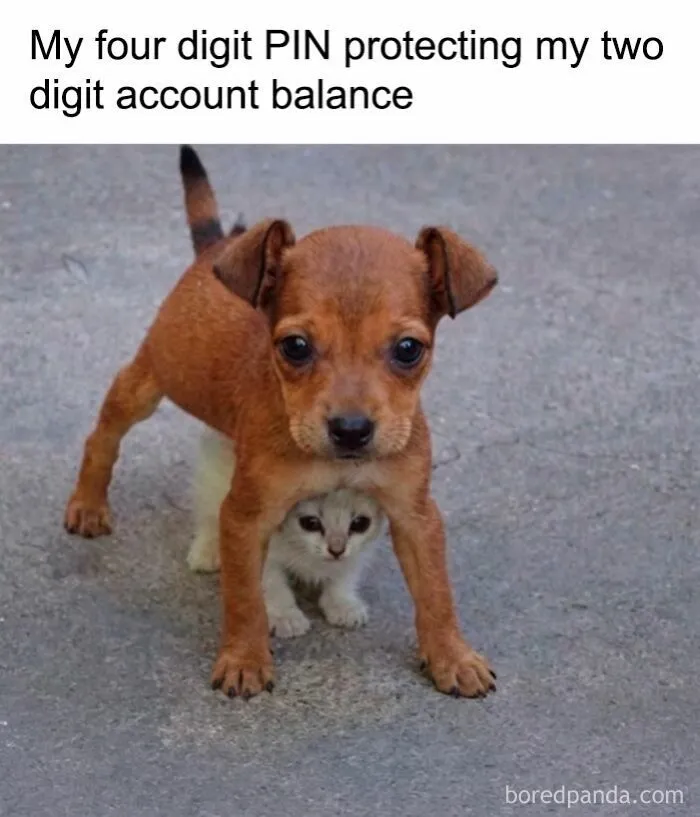 73 Funny And Chaotic Memes For When Life Gets Too Serious