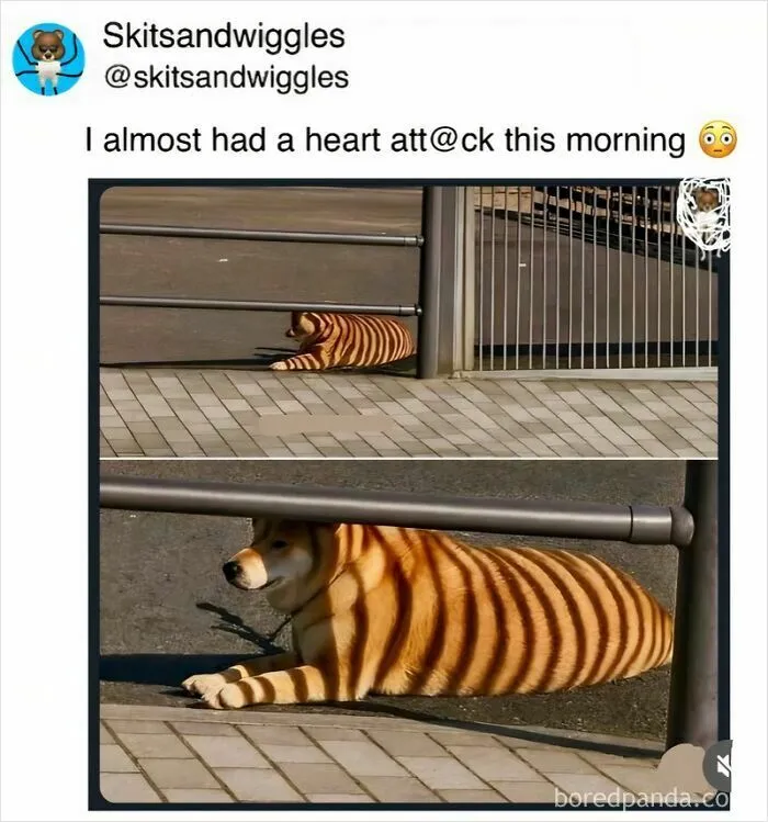 73 Funny And Chaotic Memes For When Life Gets Too Serious