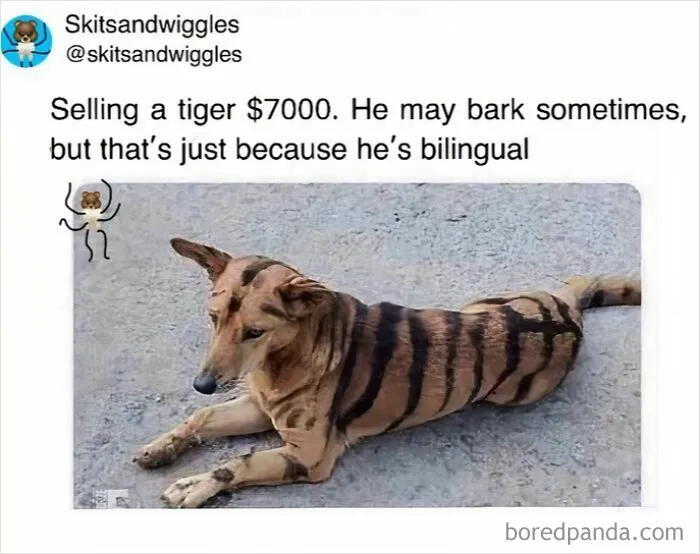 73 Funny And Chaotic Memes For When Life Gets Too Serious