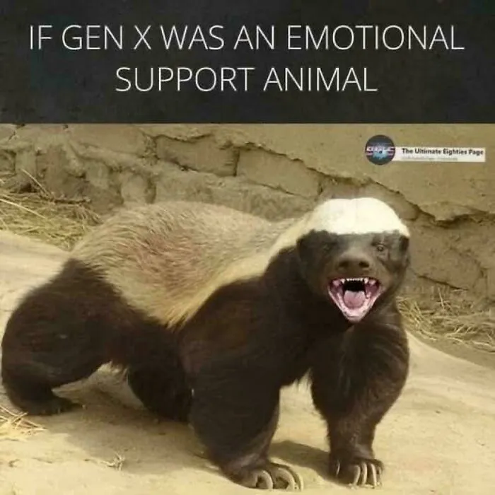 Funny meme of an aggressive animal labeled emotional support for Gen X