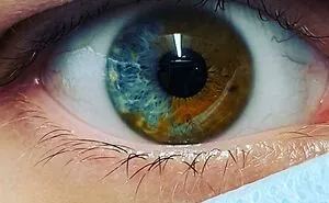 75 People Who Clearly Won The Genetic Lottery In The Most Unexpected Ways