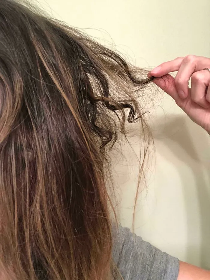 Person holding a single naturally curly hair strand among straight hair