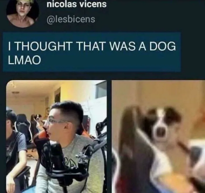 Gaming With The Dawgs