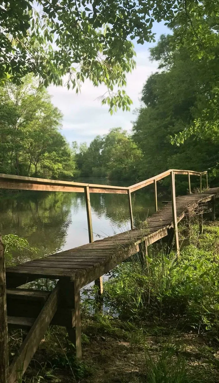 The Railing On This Bridge