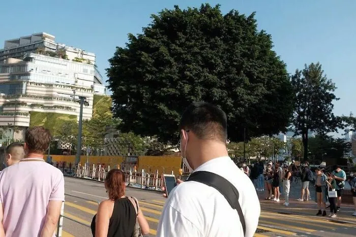 Tree Makes It Look Like The Guy Has An Afro