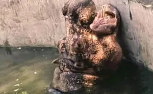 80 Images That Don’t Make Sense, Until Your Brain Finally Connects The Dots