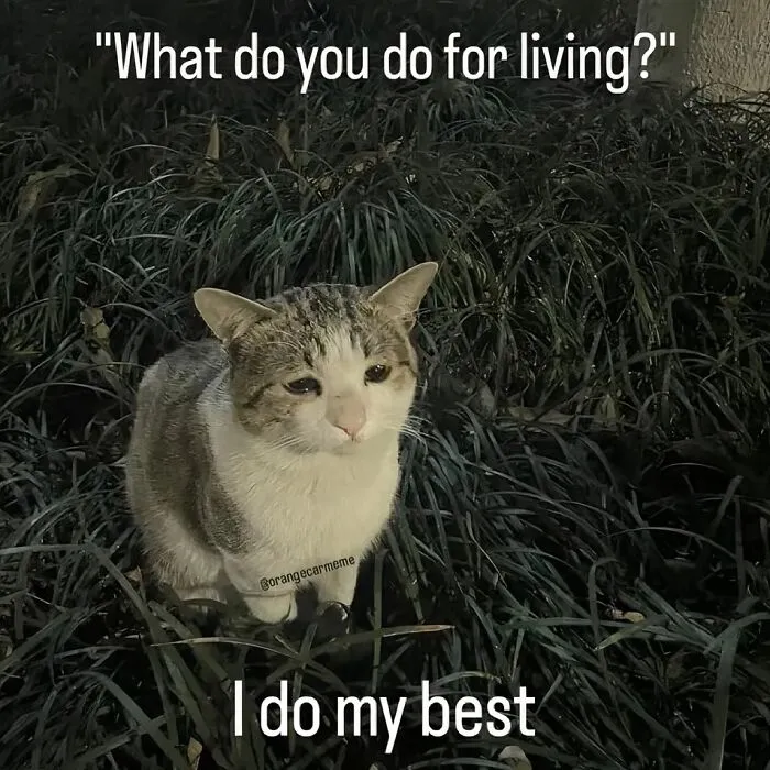 78 Relatable Memes That Feel Like Someone Secretly Turned Your Life Into Content