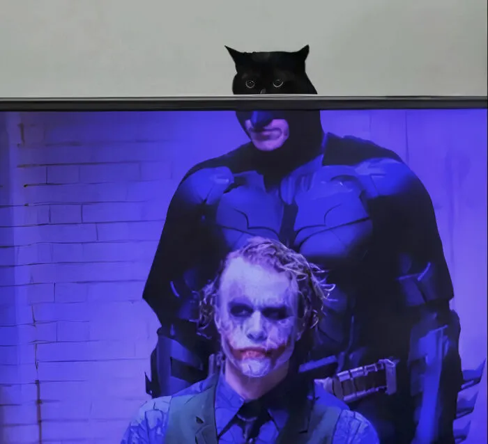 The Dark Paw