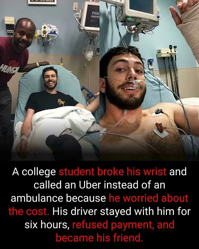 Totally Normal Country We Live In!