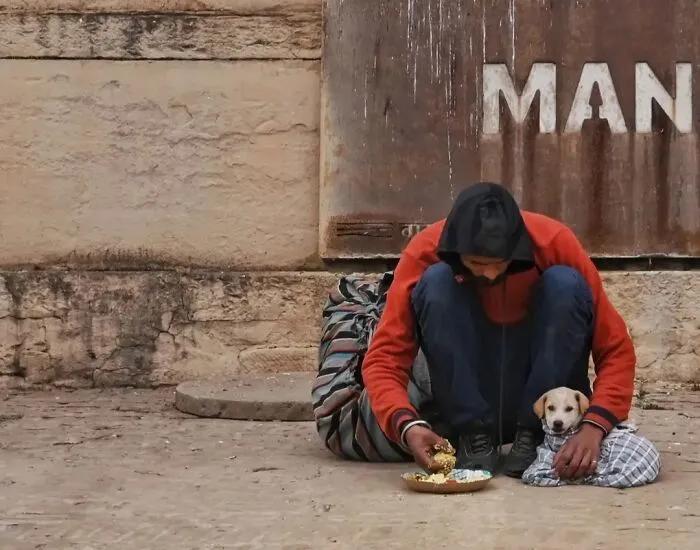43 Unexpected Animal Encounters Captured By This Street Photographer