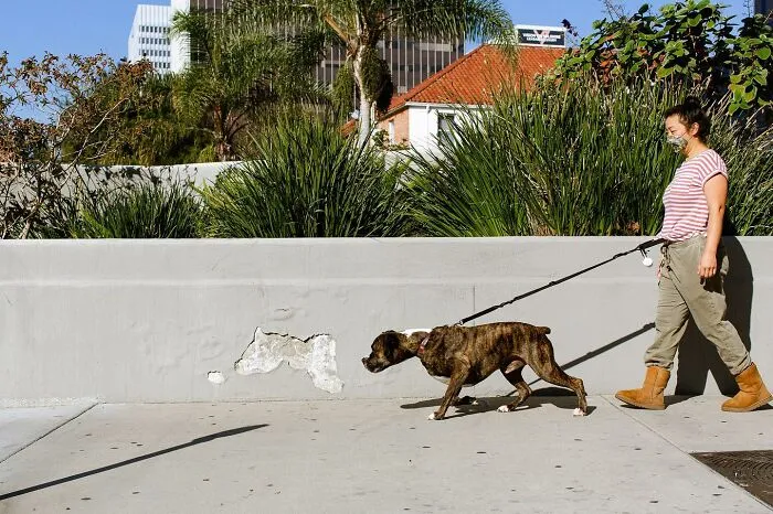 This Photographer Spots Visual Coincidences Most People Would Walk Right Past (61 Pics)