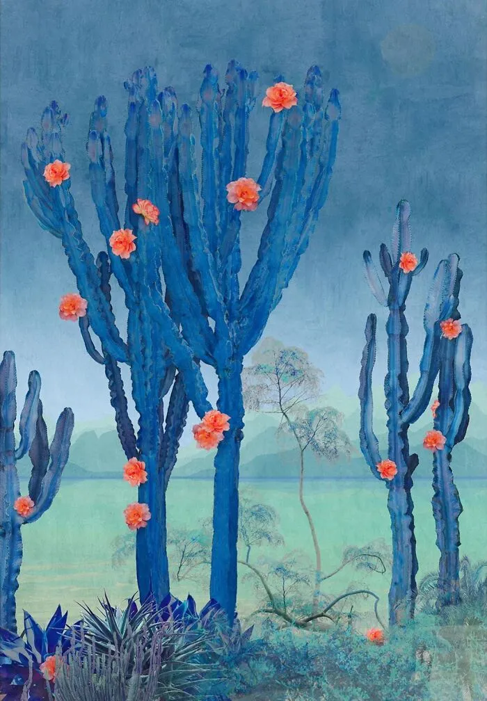Cactus Lake