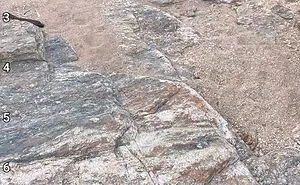 90 Unbelievably Well-Camouflaged Things That Take Forever To Spot (New Pics)