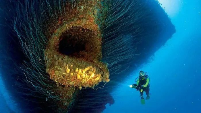 Scuba diver exploring a sunken shipwreck, a key object discovered at the bottom of the ocean