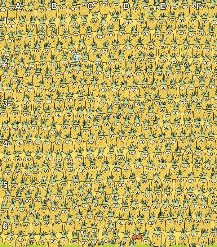 Find The Apple