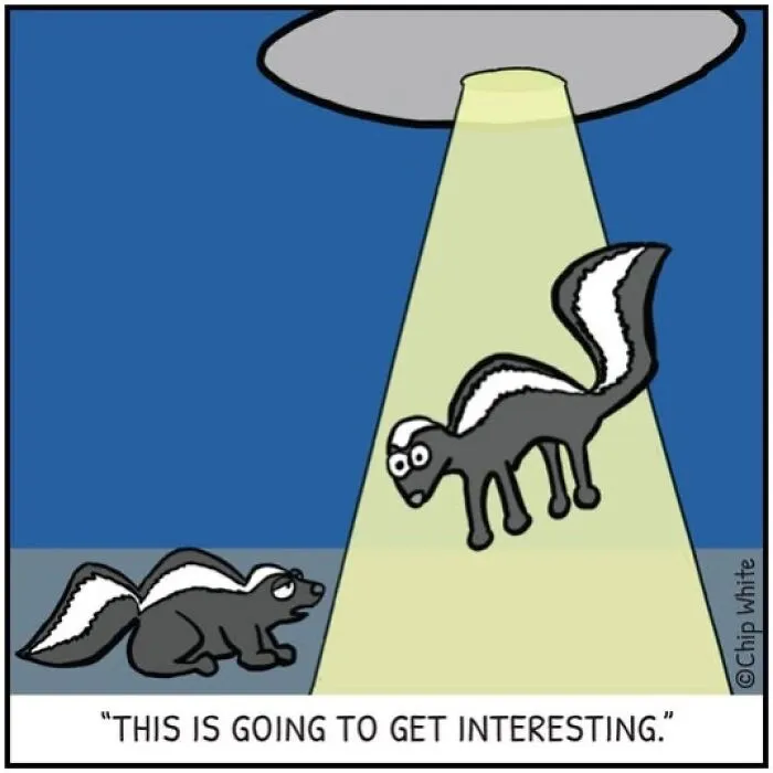 A skunk being abducted by a UFO beam in a funny blob life comics illustration.