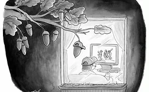 53 Clever One-Panel Comics By The Talented New Yorker Cartoonist Tom Toro (New Pics)