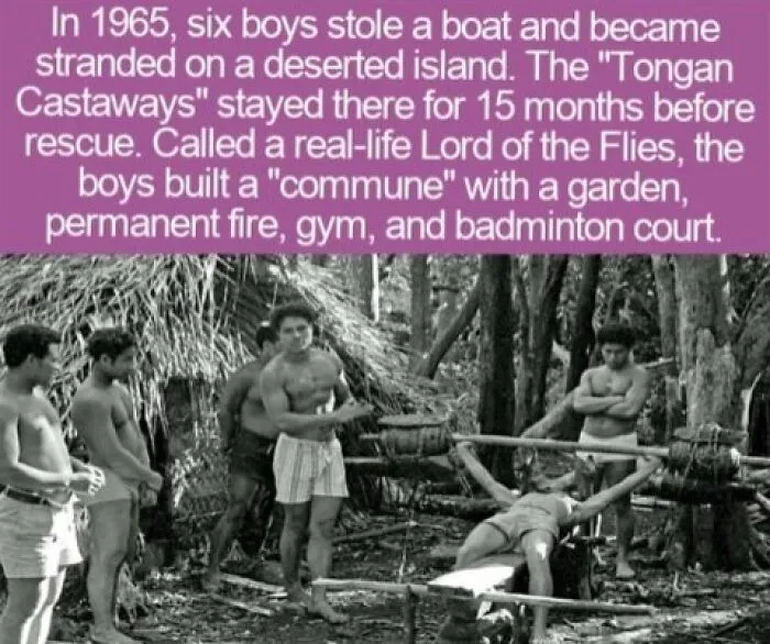 Six shipwrecked boys building a community, an example of interesting facts.