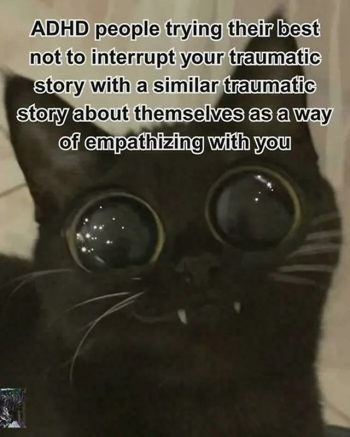 Funny ADHD memes about trying not to interrupt a friend's story with a black cat looking intense