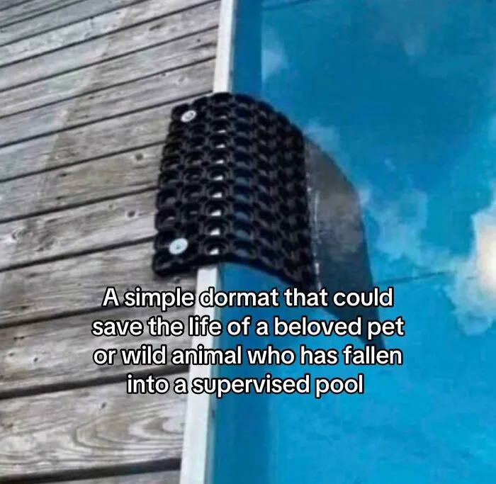 Pool edge safety doormat to save pets or wild animals