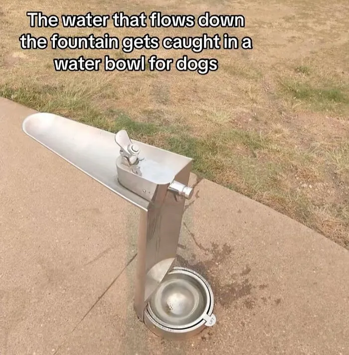 Water fountain with bowl to catch water for dogs to drink