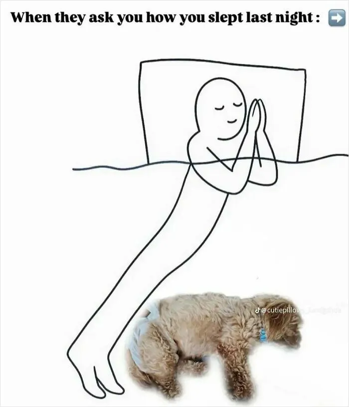 Cartoon figure sleeping soundly next to a dog illustrating a sleeping meme