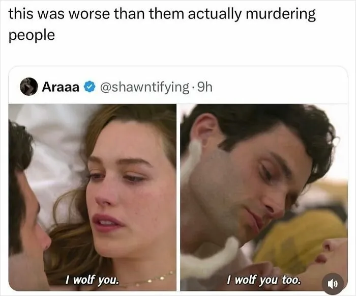 Relatable meme showing emotional scene with wolf you phrase