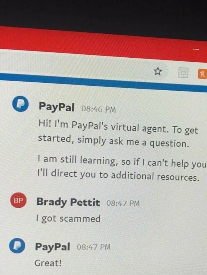 Sarcastic PayPal virtual agent replying Great to scam report