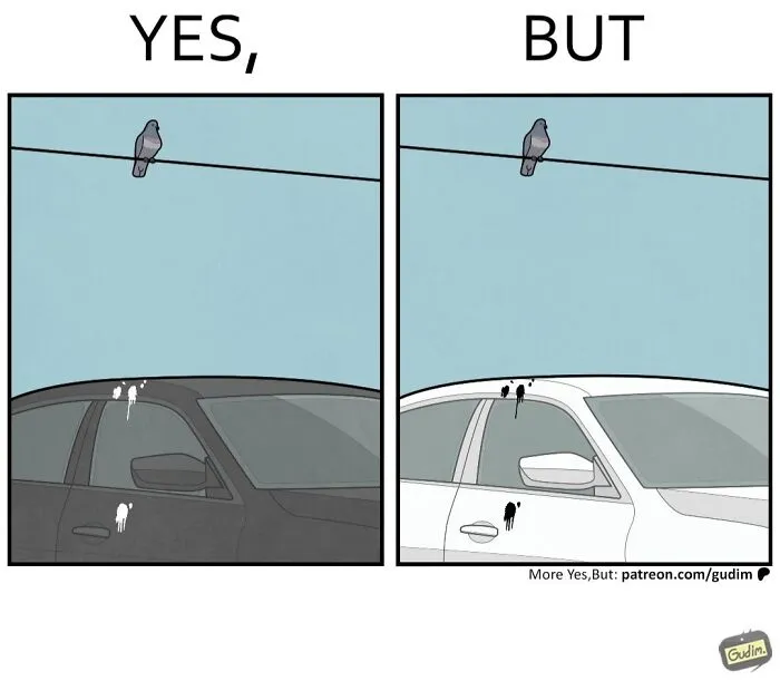 Yes but comic of birds leaving droppings on black and white cars