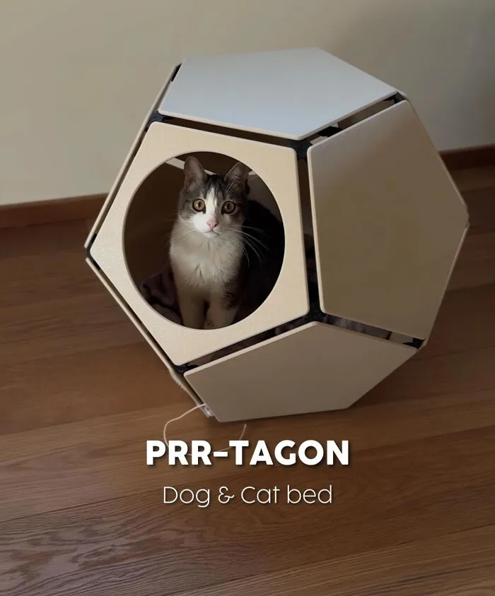 3D printed polygonal dog and cat bed with a cat inside