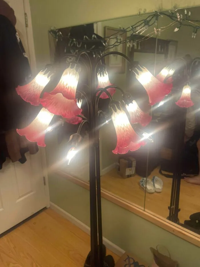 A glowing multi-bulb floor lamp with pink lily shades, found among unique thrift store finds