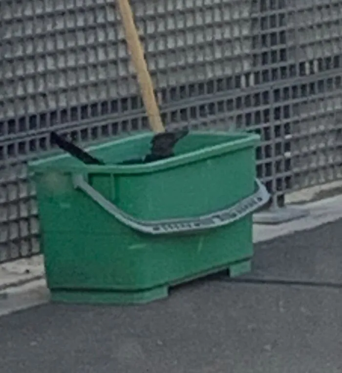 Wildlife image showing black birds in a green container outdoors