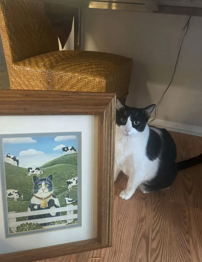 A black and white cat posing next to a cat painting, showcasing great thrift store finds.