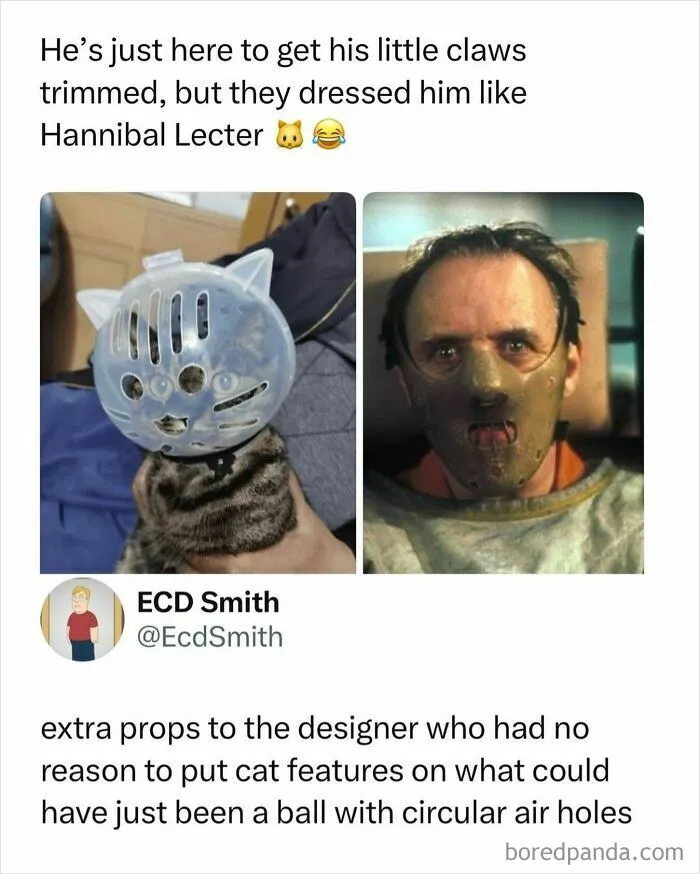 Cat wearing a humorous Hannibal Lecter style claw-trimming restraint mask